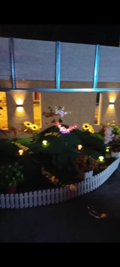 Ns Homestay Private Pool 丹那美拉 外观 照片