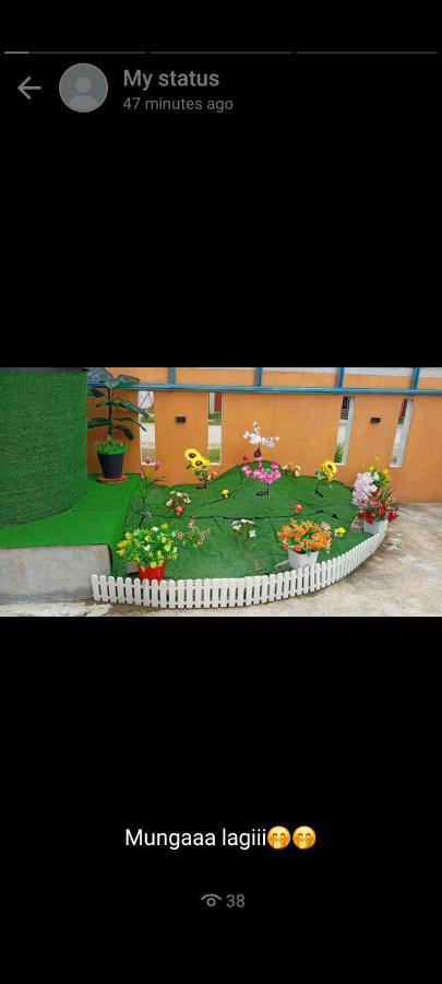Ns Homestay Private Pool 丹那美拉 外观 照片